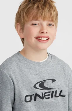 Sale O’Neill O'Neill Logo Crew Sweater | Silver Melee