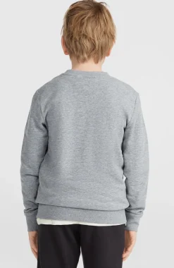 Sale O’Neill O'Neill Logo Crew Sweater | Silver Melee