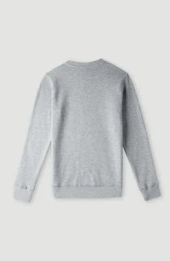 Sale O’Neill O'Neill Logo Crew Sweater | Silver Melee