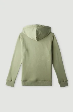 Online O’Neill O'Neill Logo Hoodie | Deep Lichen Green