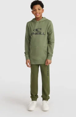 Online O’Neill O'Neill Logo Hoodie | Deep Lichen Green