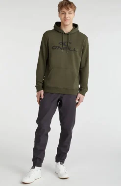 New O’Neill O'Neill Logo Hoodie | Forest Night