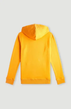 New O’Neill O'Neill Logo Hoodie | Nugget