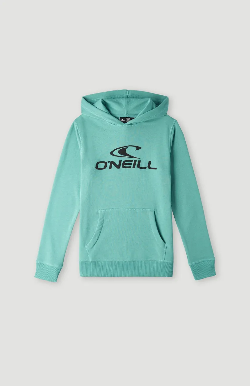 Online O’Neill O'Neill Logo Hoodie | Sea Green