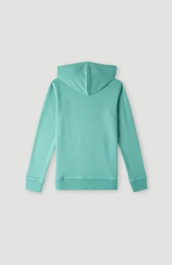 Online O’Neill O'Neill Logo Hoodie | Sea Green