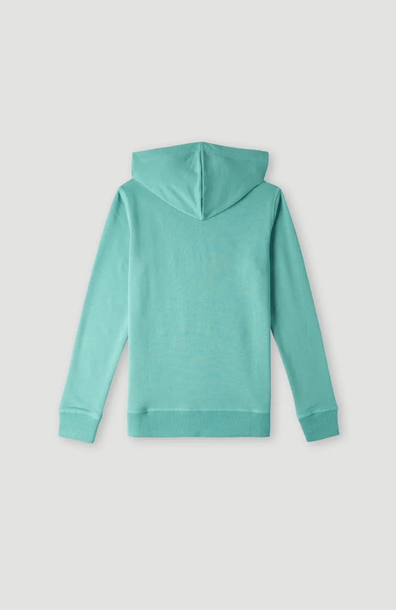 Online O’Neill O'Neill Logo Hoodie | Sea Green