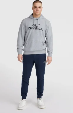 Outlet O’Neill O'Neill Logo Hoodie | Silver Melee