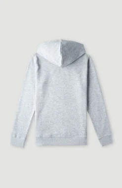 Hot O’Neill O'Neill Logo Hoodie | Silver Melee