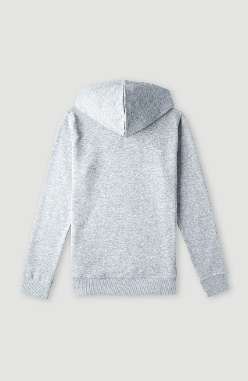 Hot O’Neill O'Neill Logo Hoodie | Silver Melee