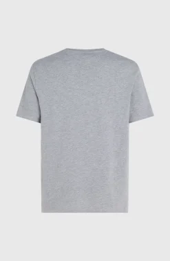 New O’Neill O'Neill Logo T-shirt | Silver Melee -A