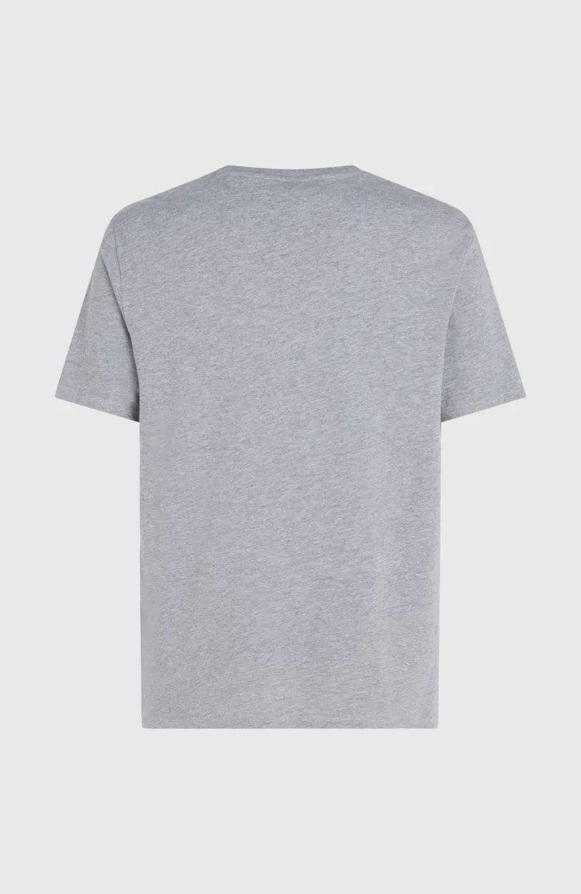 New O’Neill O'Neill Logo T-shirt | Silver Melee -A