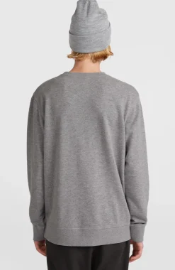 Discount O’Neill O'Neill Small Logo Crew Sweater | Silver Melee