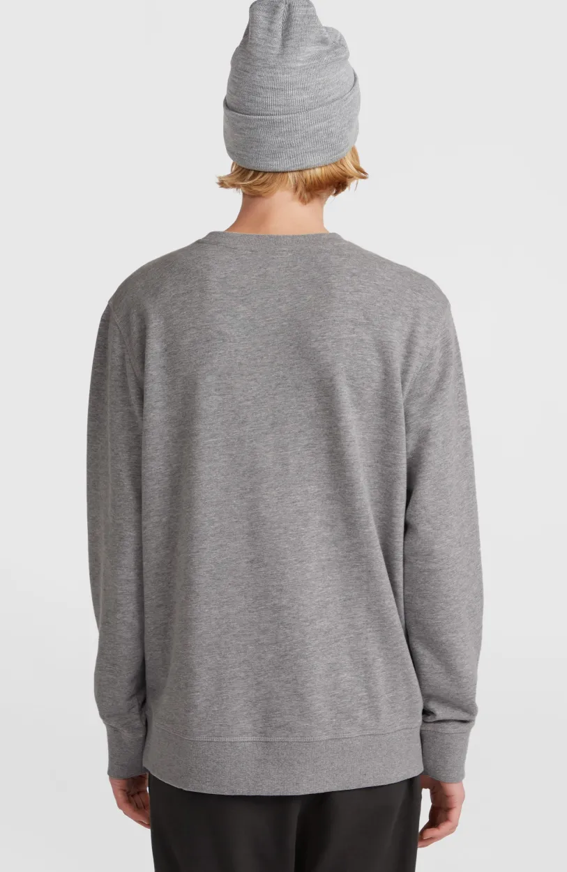 Discount O’Neill O'Neill Small Logo Crew Sweater | Silver Melee