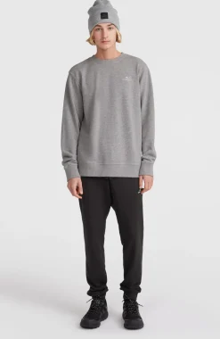 Discount O’Neill O'Neill Small Logo Crew Sweater | Silver Melee