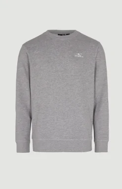 Discount O’Neill O'Neill Small Logo Crew Sweater | Silver Melee