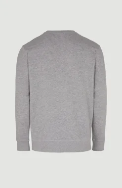 Discount O’Neill O'Neill Small Logo Crew Sweater | Silver Melee