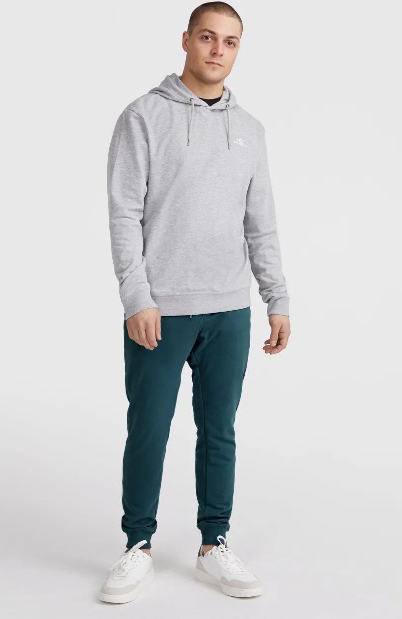 O’Neill O'Neill Small Logo Hoodie | Silver Melee