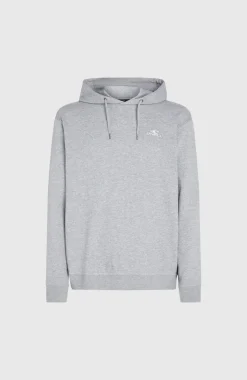 O’Neill O'Neill Small Logo Hoodie | Silver Melee
