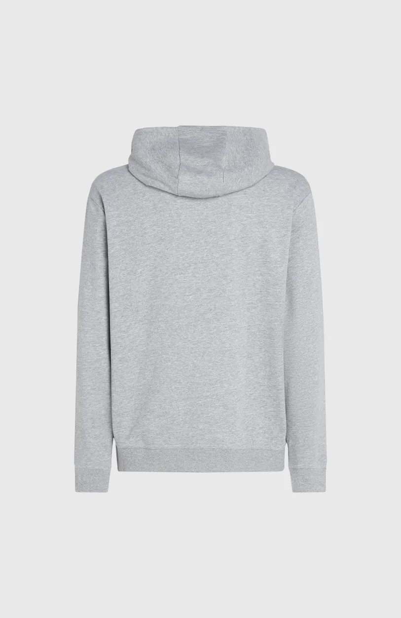 O’Neill O'Neill Small Logo Hoodie | Silver Melee