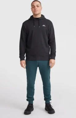Hot O’Neill O'Neill Small Logo Hoodie | Black Out