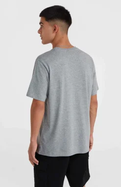 Outlet O’Neill O'Neill Small Logo T-shirt | Silver Melee
