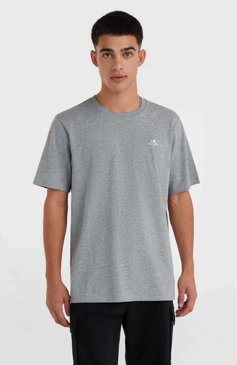 Outlet O’Neill O'Neill Small Logo T-shirt | Silver Melee
