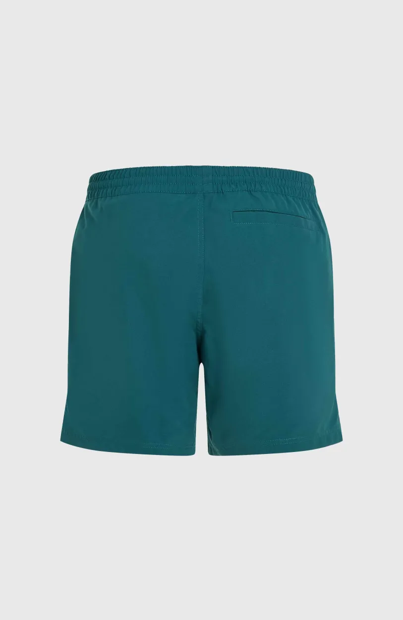 Outlet O’Neill Original Cali 16'' Zwembroek | Beetle Juice