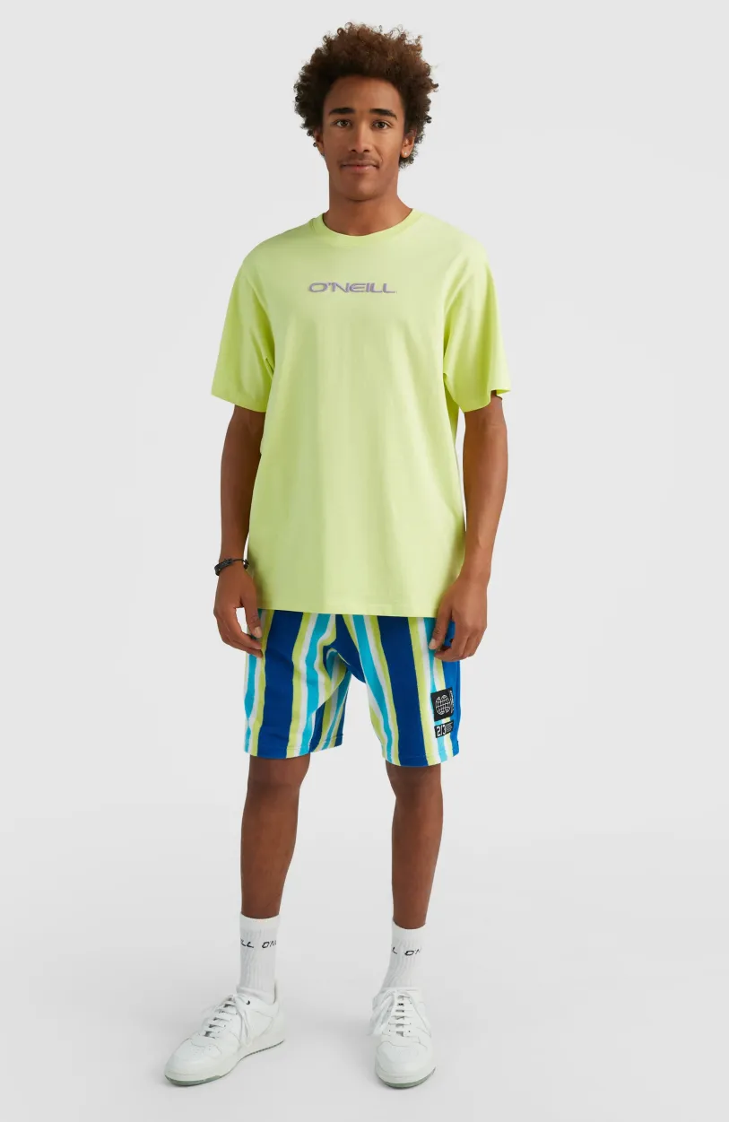 O’Neill Short Brights Terry | Blue Towel Stripe
