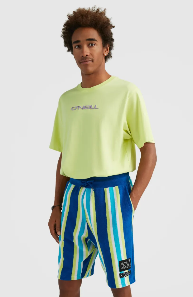 O’Neill Short Brights Terry | Blue Towel Stripe