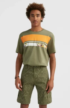 New O’Neill Short Park Cargo | Deep Lichen Magic Carpet
