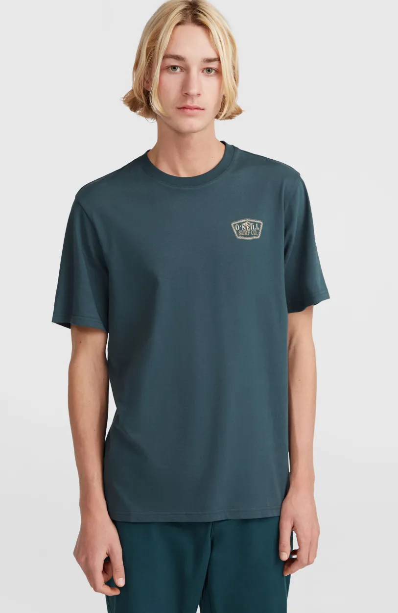 O’Neill Small Chest Print T-shirt | Alma Steel
