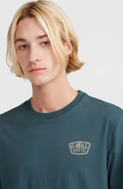 O’Neill Small Chest Print T-shirt | Alma Steel