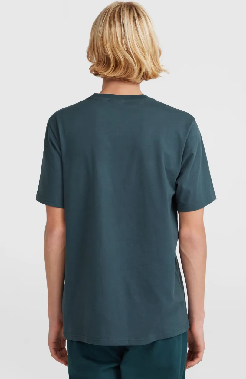 O’Neill Small Chest Print T-shirt | Alma Steel