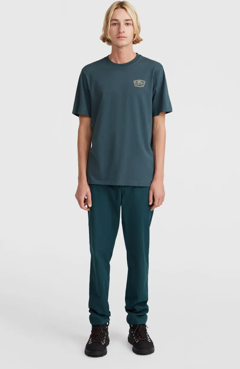 O’Neill Small Chest Print T-shirt | Alma Steel
