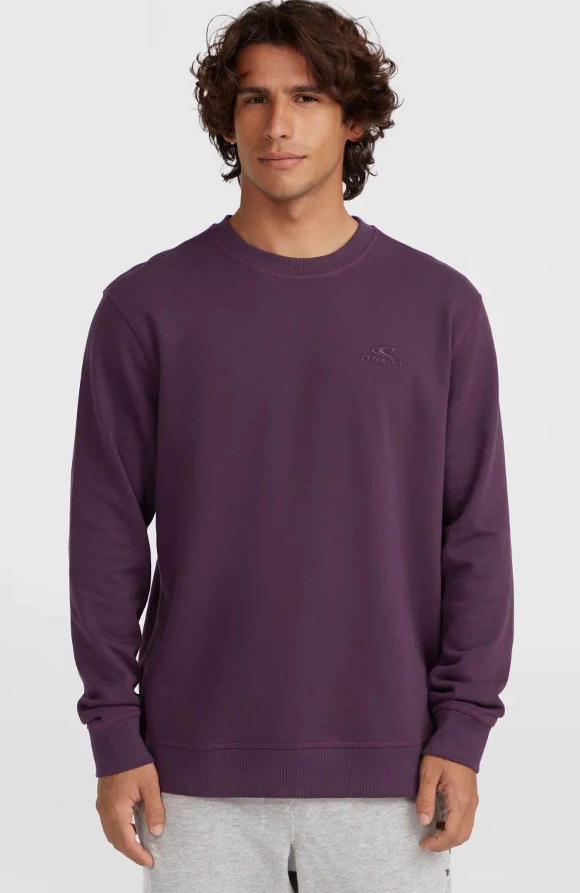 Outlet O’Neill Small Logo Crew Sweater | Aubergine
