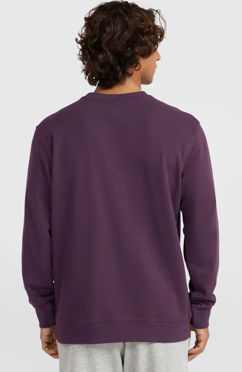 Outlet O’Neill Small Logo Crew Sweater | Aubergine