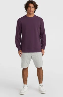 Outlet O’Neill Small Logo Crew Sweater | Aubergine