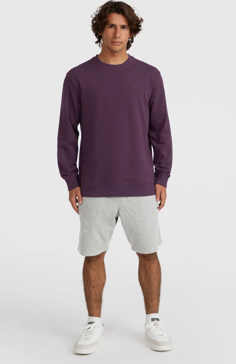 Outlet O’Neill Small Logo Crew Sweater | Aubergine