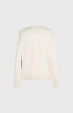 Hot O’Neill Small Logo Crew Sweater | Atmosphere