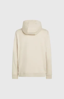 Outlet O’Neill Small Logo Hoodie | Atmosphere