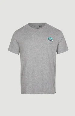 Sale O’Neill State Emblem T-shirt | Silver Melee