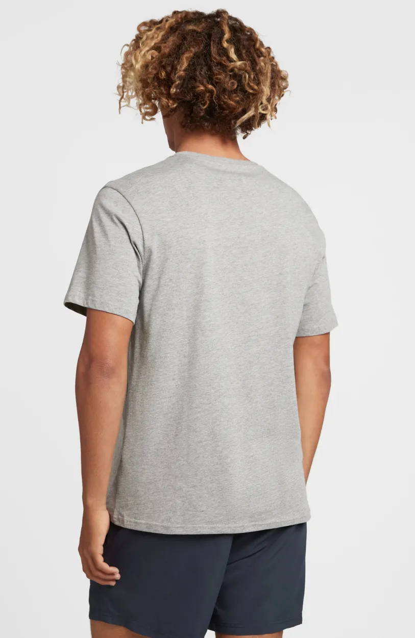 Sale O’Neill State Emblem T-shirt | Silver Melee