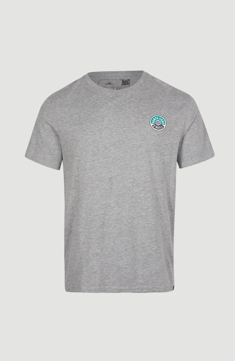 Sale O’Neill State Emblem T-shirt | Silver Melee