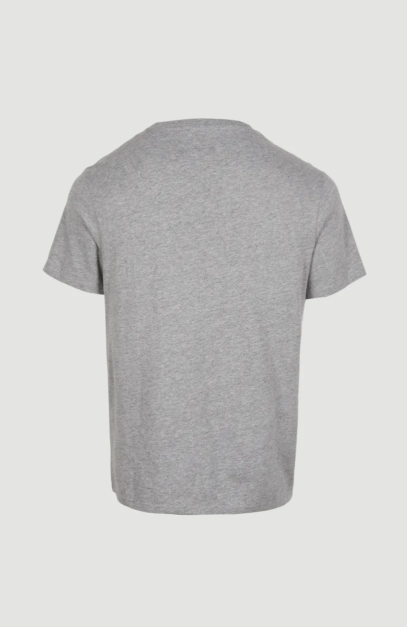 Sale O’Neill State Emblem T-shirt | Silver Melee