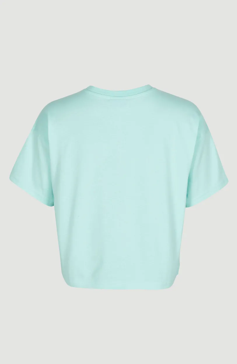 Discount O’Neill Stream T-shirt | Beach Glass