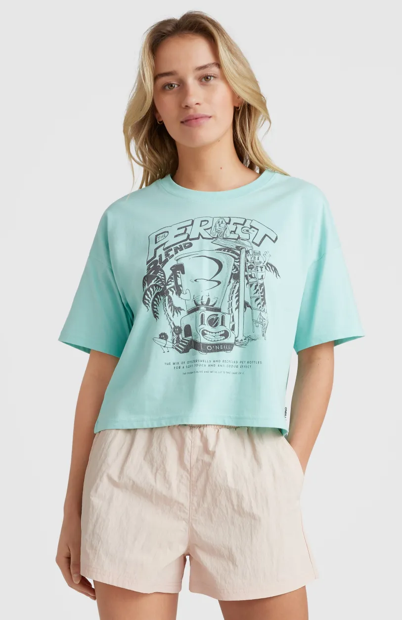 Discount O’Neill Stream T-shirt | Beach Glass