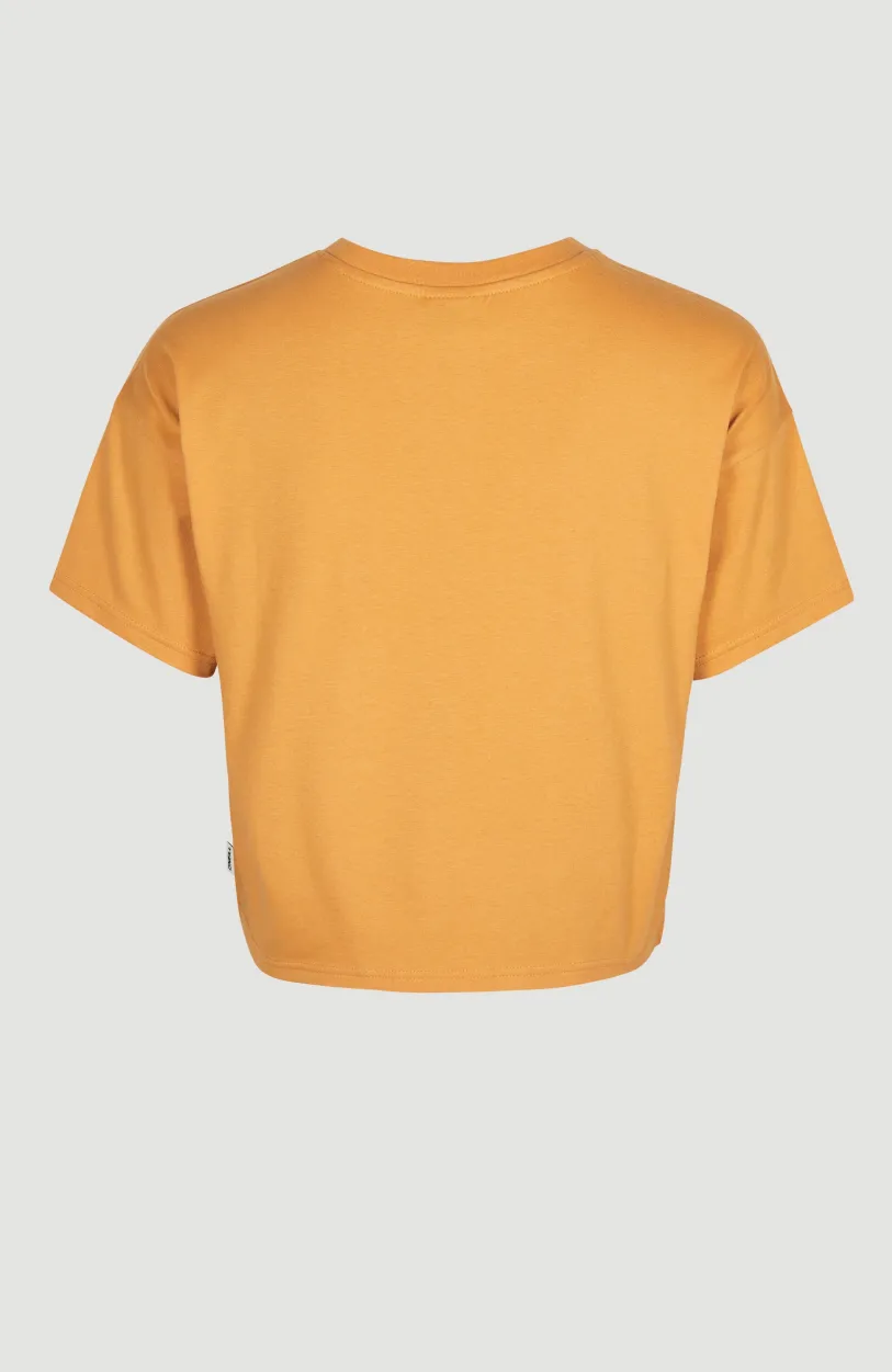 O’Neill Stream T-shirt | Nugget
