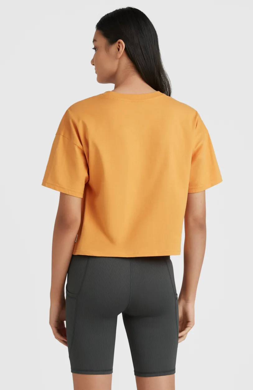 O’Neill Stream T-shirt | Nugget