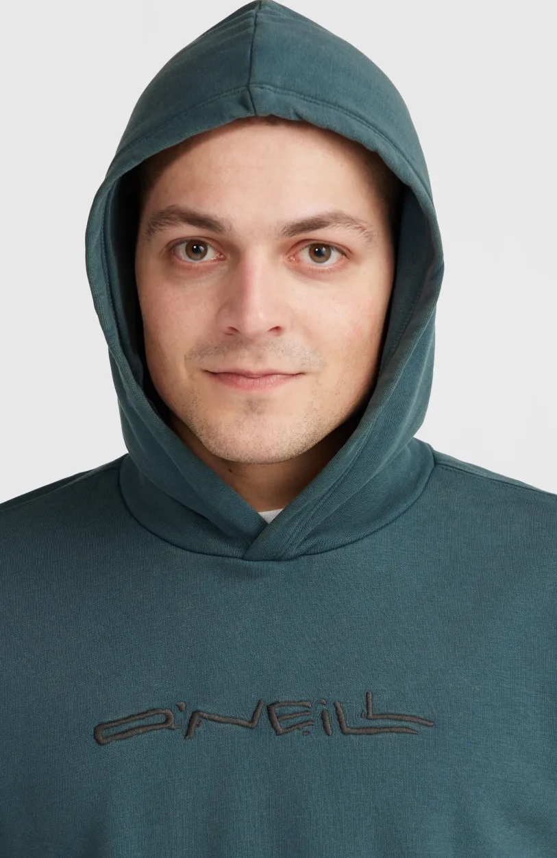 Clearance O’Neill Surf Heroes Hoodie | Alma Steel