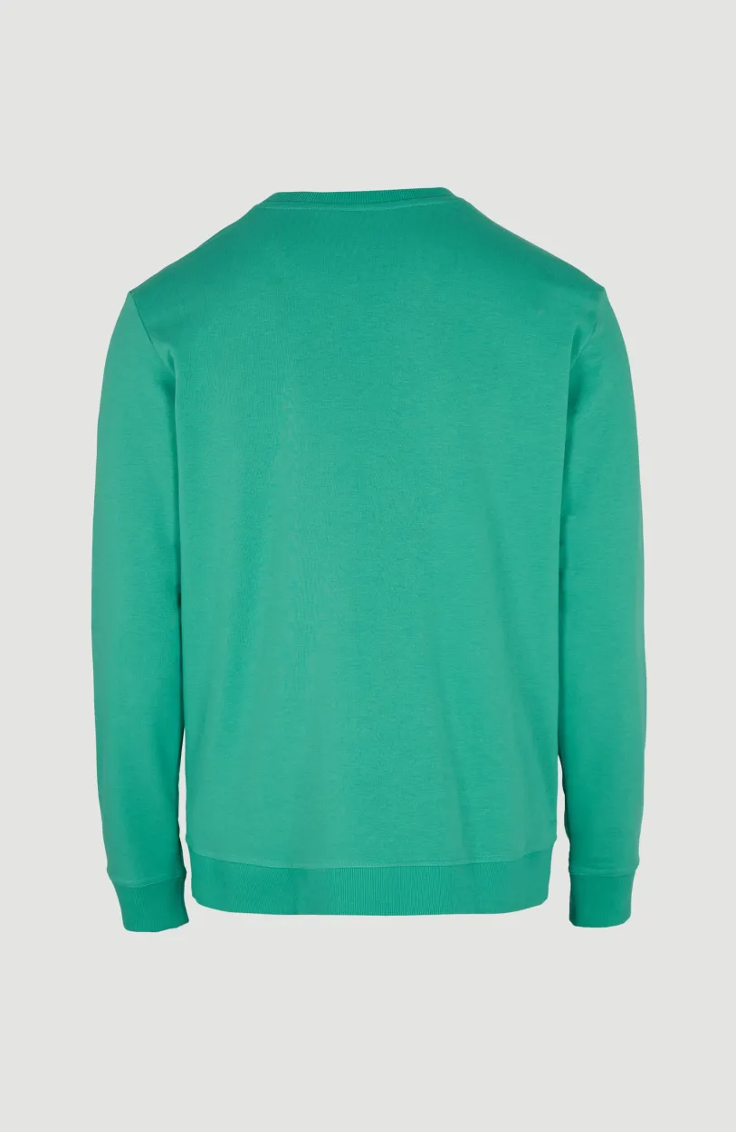 Outlet O’Neill Sweater Cali Original Crew | Sea Green